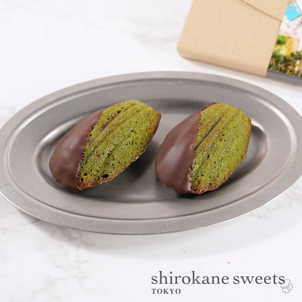 「送料無料」shirokane sweets TOKYO 白金ショコラマドレーヌ(抹茶) 4個入(ポスト投函・配送日時指定不可)/GIFT FOR YOU シール付