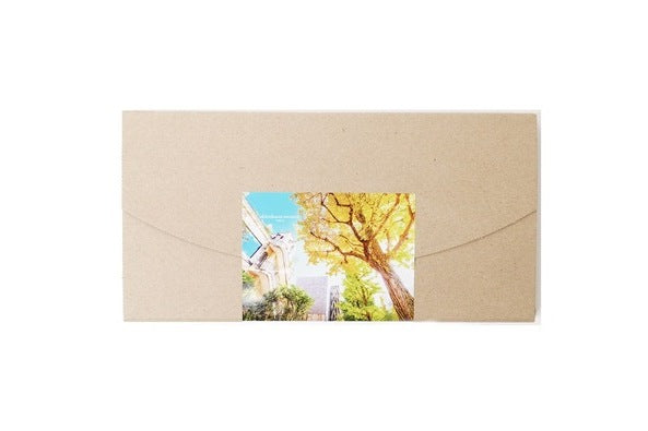 【送料込】白金ブールドネージュ(プレーン)10個入(ポスト投函・配送日時指定不可)