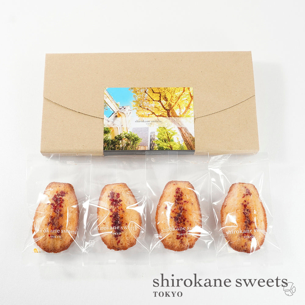 「送料無料」shirokane sweets TOKYO 白金マドレーヌ(ベリー) 4個入(ポスト投函・配送日時指定不可)