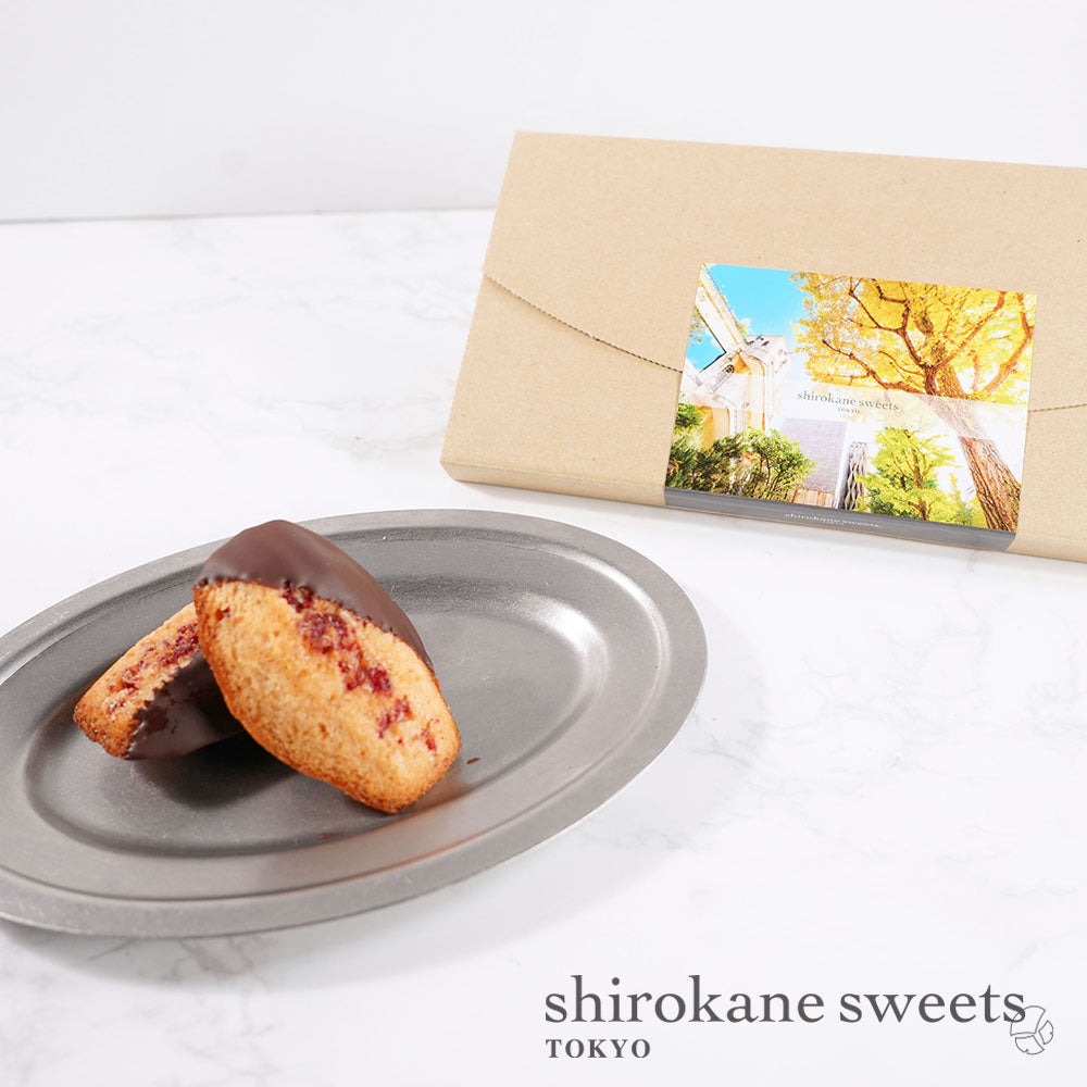 「送料無料」shirokane sweets TOKYO 白金ショコラマドレーヌ(ベリー) 4個入(ポスト投函・配送日時指定不可)