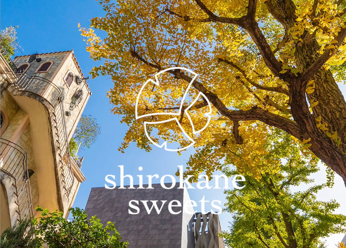 shirokane sweets TOKYO 冬のプレミアムアイスキャンディ 5本セット【gifteeクーポン使用】