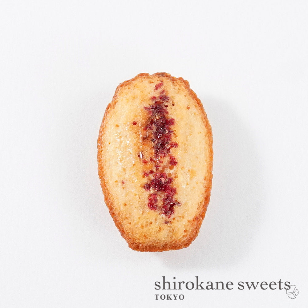 「送料無料」shirokane sweets TOKYO 白金マドレーヌ（ベリー）　4個入（ポスト投函・配送日時指定不可）／HAPPY BITHDAY シール付